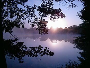 Baggersee Unterer Ullich