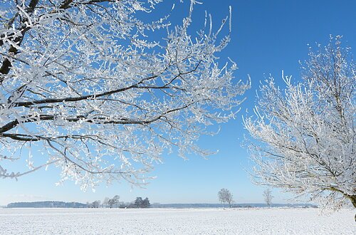 Winterlandschaft