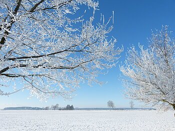 Winterlandschaft