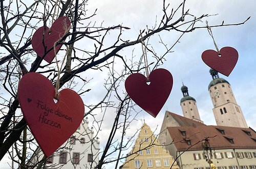 Herzle-Baum Aktion Valentinstag